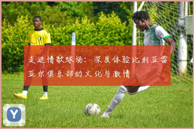 走进情歌球场：深度体验比利亚雷亚尔俱乐部的文化与激情
