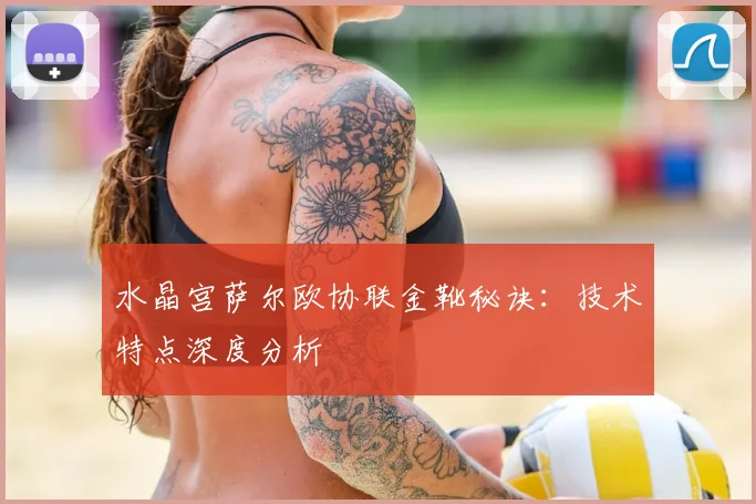 水晶宫萨尔欧协联金靴秘诀:技术特点深度分析