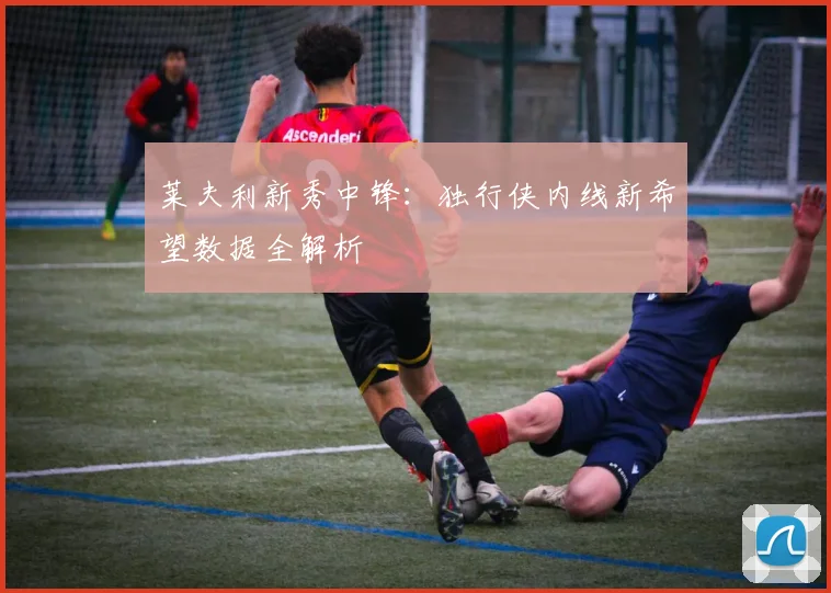 莱夫利新秀中锋:独行侠内线新希望数据全解析