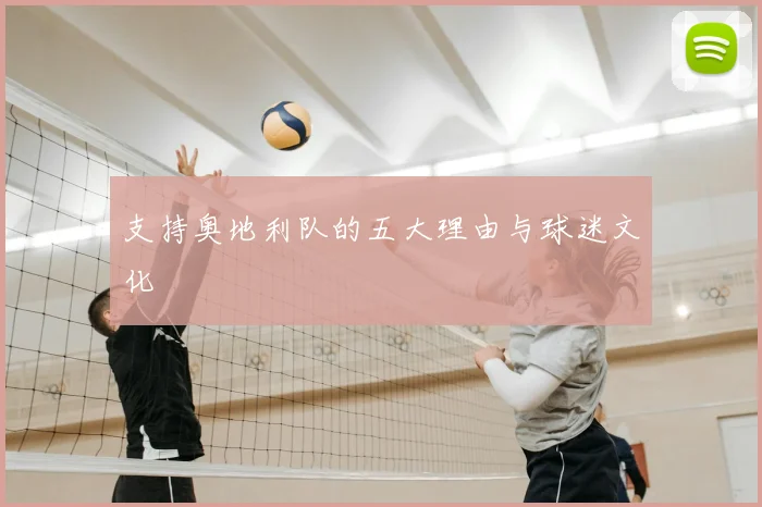 支持奥地利队的五大理由与球迷文化