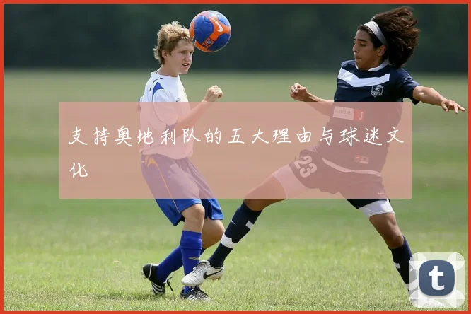支持奥地利队的五大理由与球迷文化